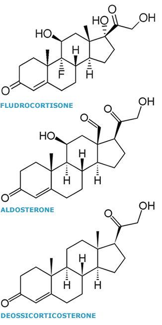 mineralcorticoide