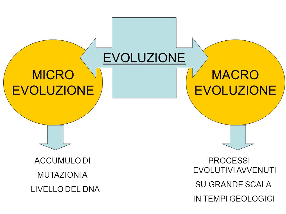 microevoluzione-macroevoluzione