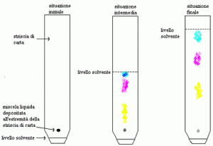 Cromatografia su Colonna