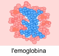 emoglobina