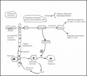 aterogenesis