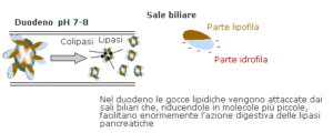 sali_biliari