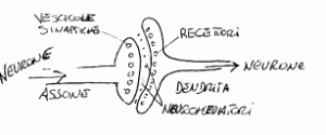 endogeni-esogeni
