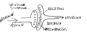 endogeni-esogeni