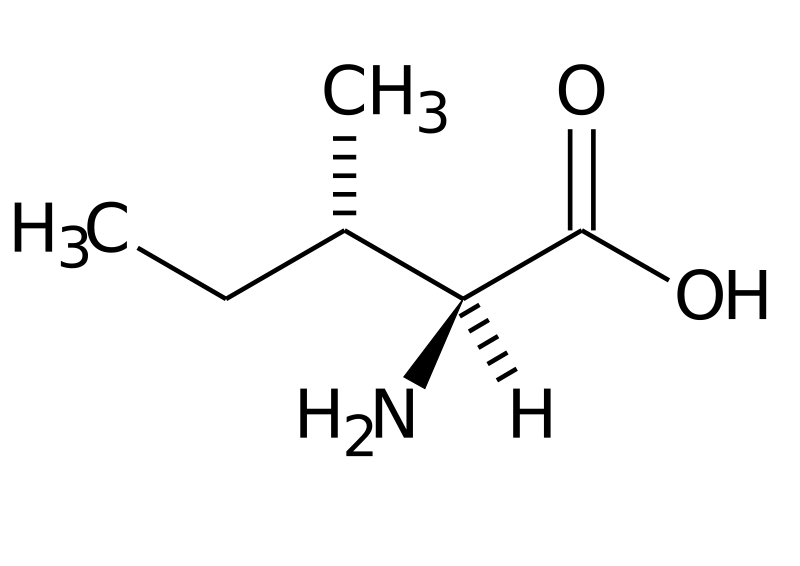 isoleucina