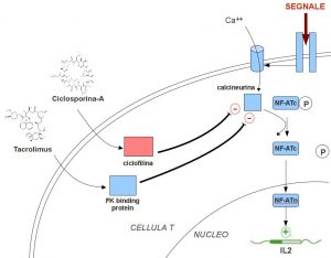 immunosoppressori