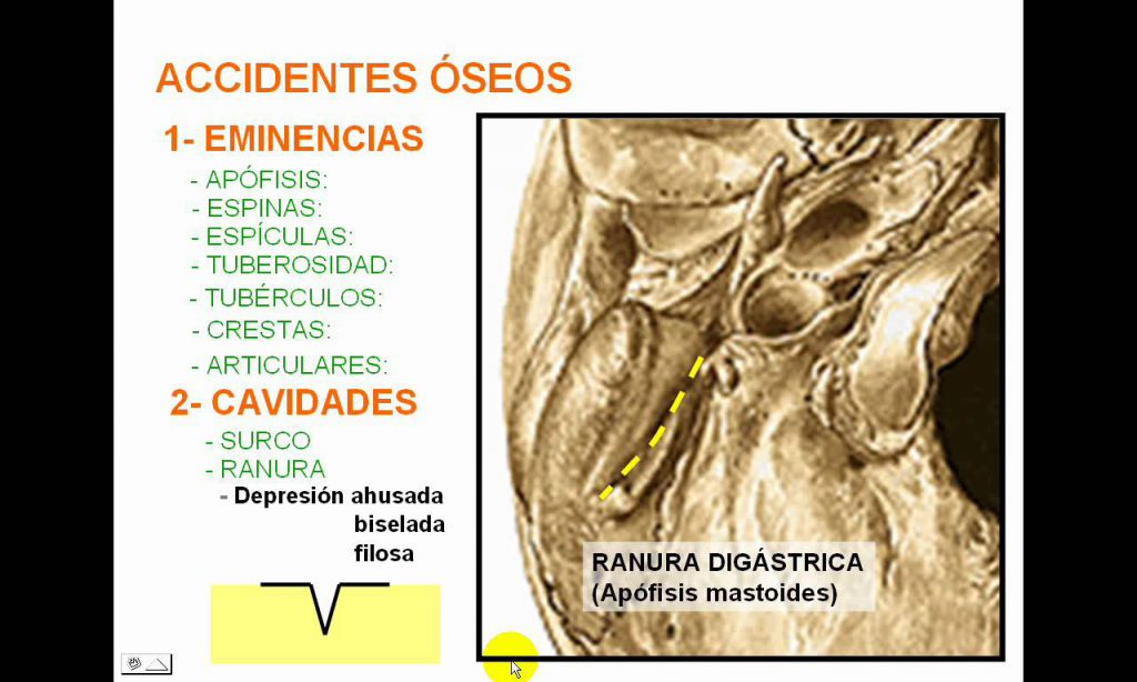los-huesos-le-ossa