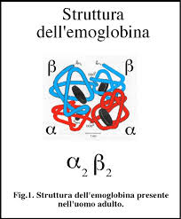 emoglobina