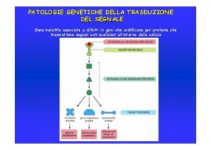 patologie-genetiche-della-trasduzione-del-segnale