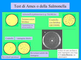 test-ames