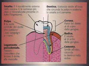 pulpopatie