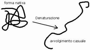 denaturazione